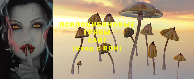 Галлюциногенные грибы Magic Shrooms  дарк нет как зайти  Чебоксары 